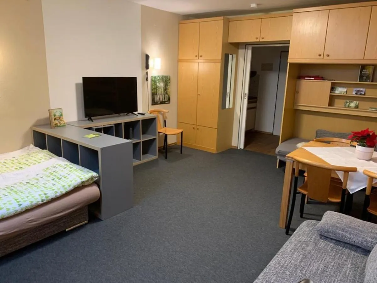 公寓 Ferienwohnung Waldbaden Im Haus Falkenberg 奥伯斯特多夫 德国