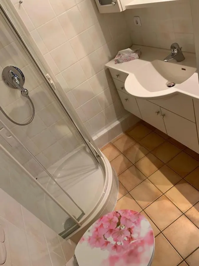 公寓 Ferienwohnung Waldbaden Im Haus Falkenberg 奥伯斯特多夫